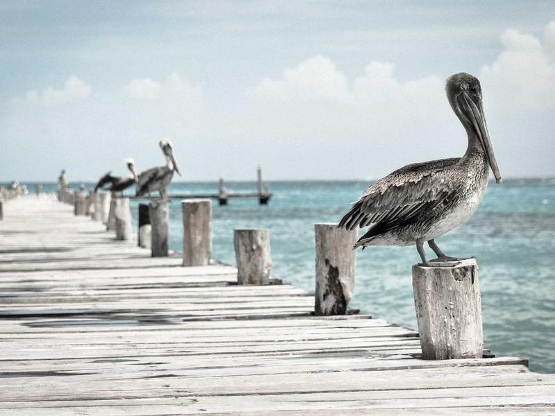 眼部瑜伽<br>ljvwvuu.cn 20-20-20法则